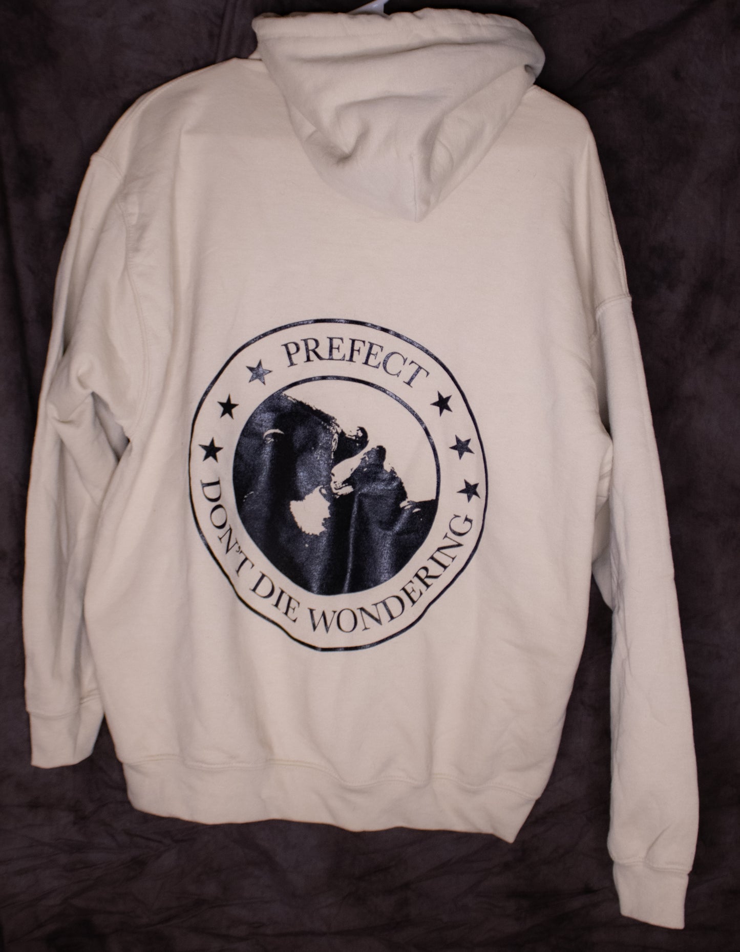 Don't Die Wondering White Hoodie- Small